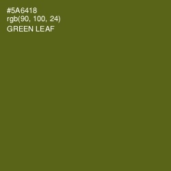 #5A6418 - Green Leaf Color Image