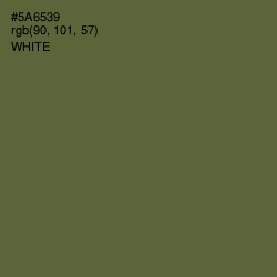 #5A6539 - Chalet Green Color Image