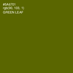 #5A6701 - Green Leaf Color Image