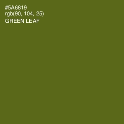 #5A6819 - Green Leaf Color Image