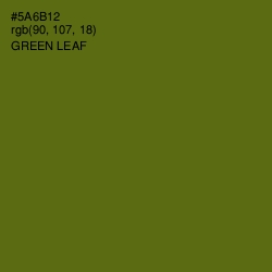 #5A6B12 - Green Leaf Color Image