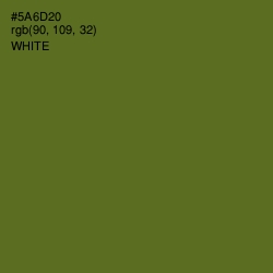 #5A6D20 - Chalet Green Color Image