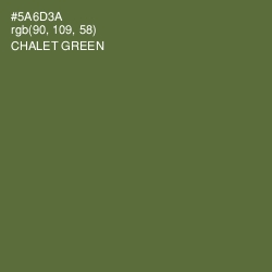 #5A6D3A - Chalet Green Color Image