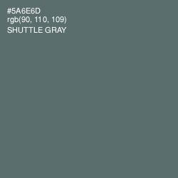 #5A6E6D - Shuttle Gray Color Image