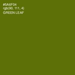 #5A6F04 - Green Leaf Color Image