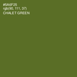 #5A6F25 - Chalet Green Color Image