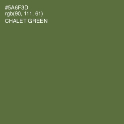 #5A6F3D - Chalet Green Color Image