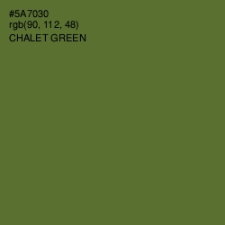 #5A7030 - Chalet Green Color Image