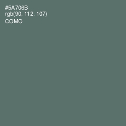 #5A706B - Como Color Image