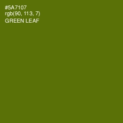 #5A7107 - Green Leaf Color Image