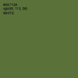 #5A713A - Chalet Green Color Image