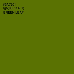 #5A7201 - Green Leaf Color Image