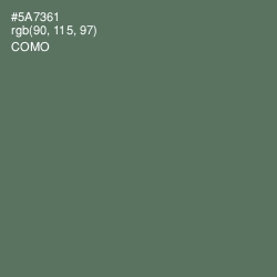 #5A7361 - Como Color Image