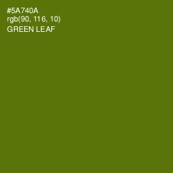 #5A740A - Green Leaf Color Image