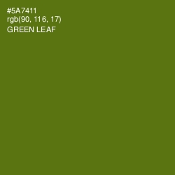#5A7411 - Green Leaf Color Image