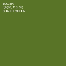 #5A7427 - Chalet Green Color Image