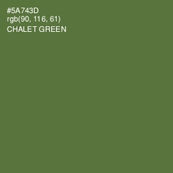 #5A743D - Chalet Green Color Image