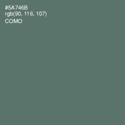 #5A746B - Como Color Image