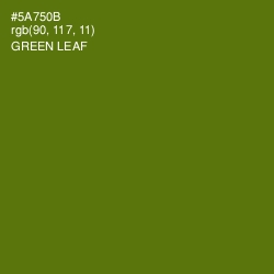 #5A750B - Green Leaf Color Image