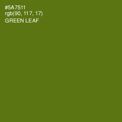 #5A7511 - Green Leaf Color Image