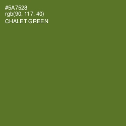#5A7528 - Chalet Green Color Image