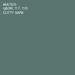 #5A7570 - Cutty Sark Color Image