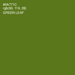 #5A771C - Green Leaf Color Image