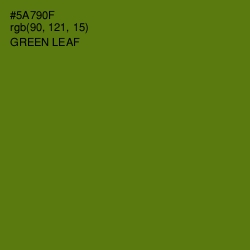 #5A790F - Green Leaf Color Image