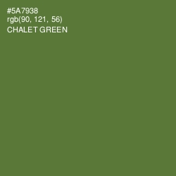 #5A7938 - Chalet Green Color Image