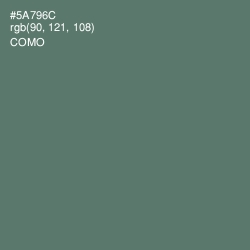 #5A796C - Como Color Image