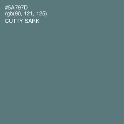 #5A797D - Cutty Sark Color Image