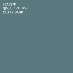 #5A797F - Cutty Sark Color Image