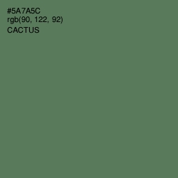 #5A7A5C - Cactus Color Image