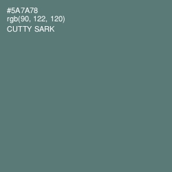 #5A7A78 - Cutty Sark Color Image