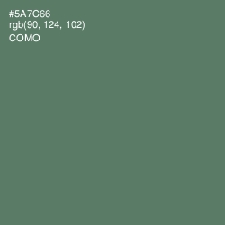 #5A7C66 - Como Color Image