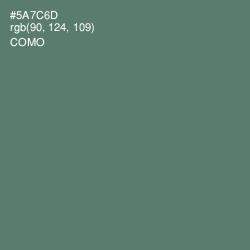 #5A7C6D - Como Color Image
