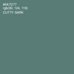 #5A7C77 - Cutty Sark Color Image