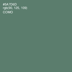 #5A7D6D - Como Color Image