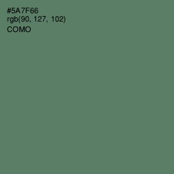 #5A7F66 - Como Color Image