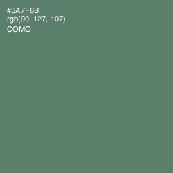#5A7F6B - Como Color Image