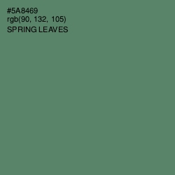 #5A8469 - Spring Leaves Color Image