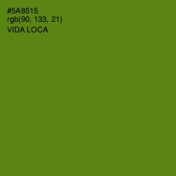 #5A8515 - Vida Loca Color Image