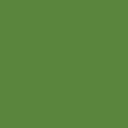 #5A853D - Olive Drab Color Image