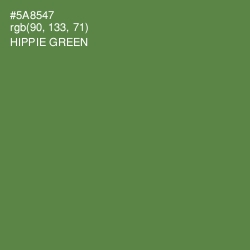 #5A8547 - Hippie Green Color Image