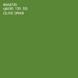 #5A8735 - Olive Drab Color Image