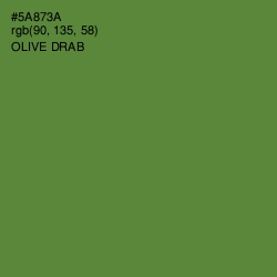 #5A873A - Olive Drab Color Image