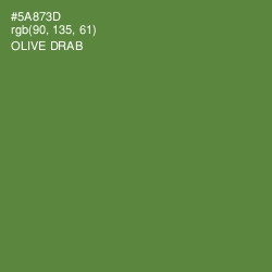 #5A873D - Olive Drab Color Image