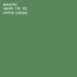 #5A875C - Hippie Green Color Image