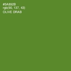 #5A892B - Olive Drab Color Image