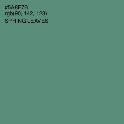 #5A8E7B - Spring Leaves Color Image